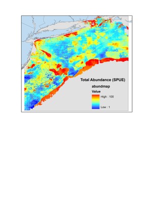Marine Bird Mapping and Assessment 