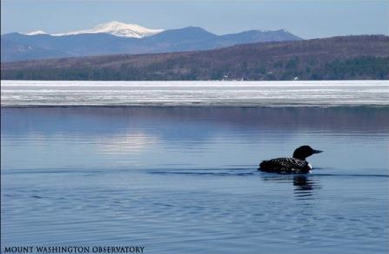 What lies beneath lakes and ponds