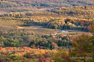 North Atlantic LCC Demonstration Project: Climate Adaptation in Appalachian Forests