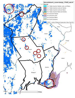 For Regional Conservation Partnerships, Nature’s Network offers new perspective on familiar places 